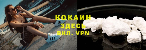 индика Новокубанск