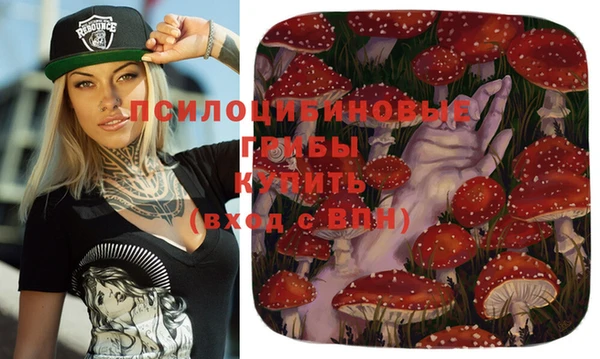 круглые Новодвинск